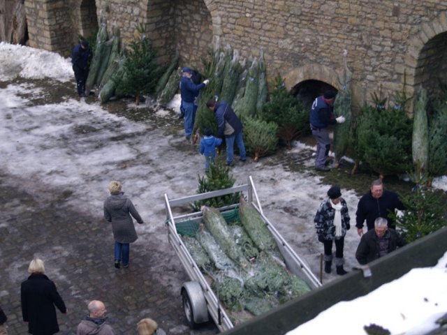 Weihnachtsbaumverkauf 2012